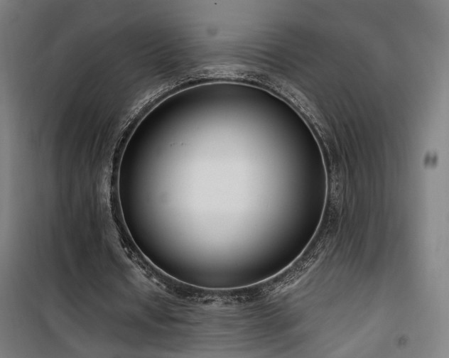 X0000101660434200807101258