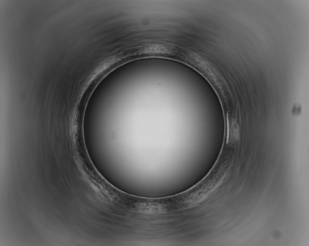 X0000101660435200807101258