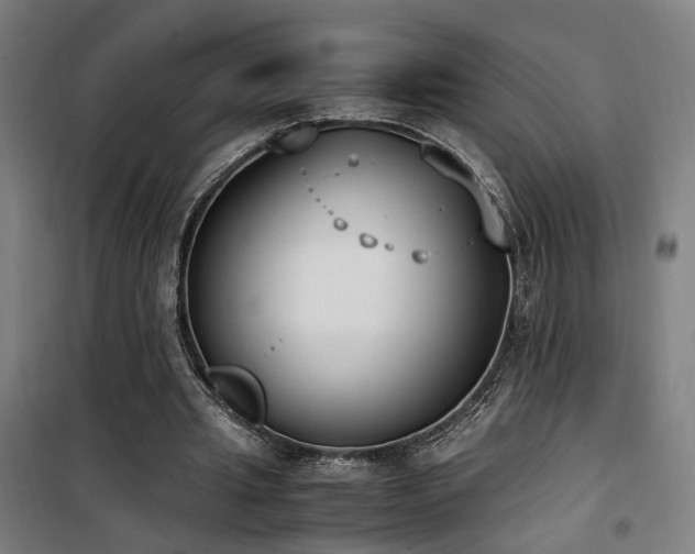 X0000101660437200807101258