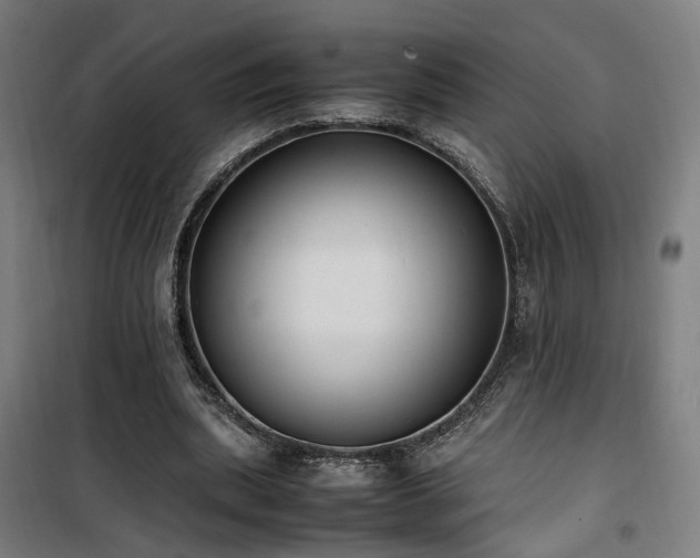 X0000101660439200807101258