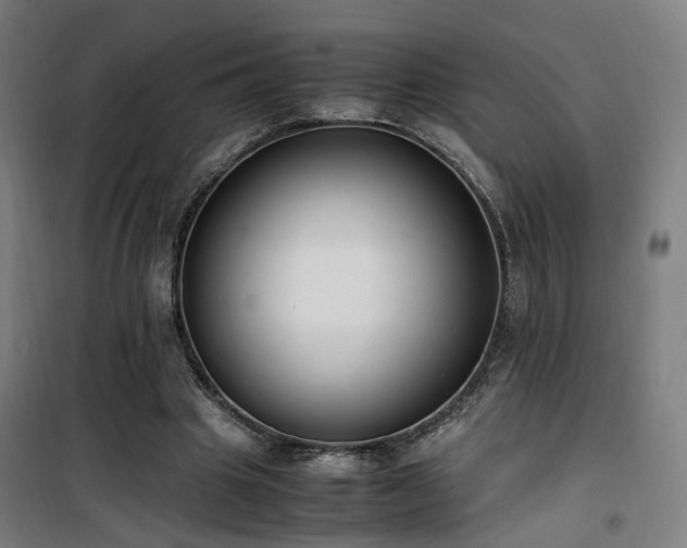 X0000101660441200807101258