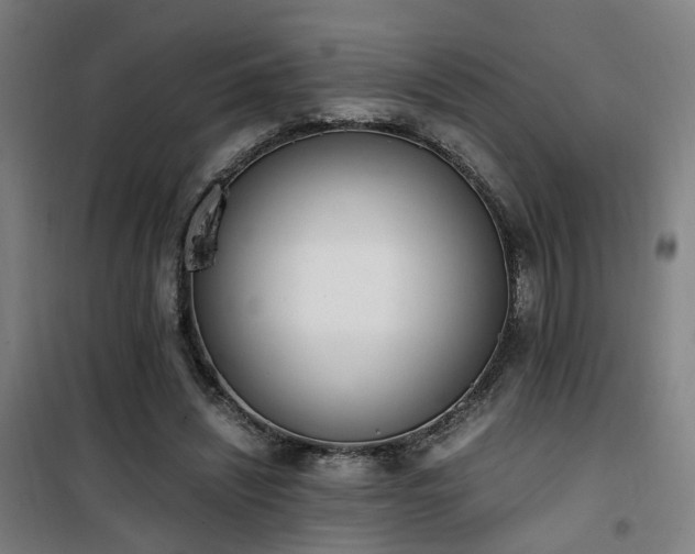 X0000101660444200807101258