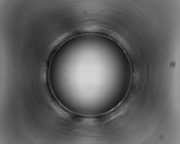 X0000101660446200807101258