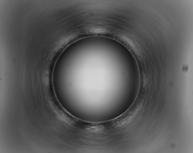 X0000101660447200807101258