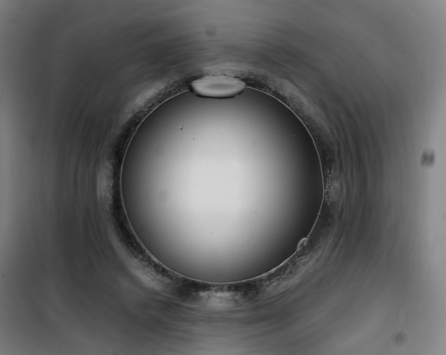 X0000101660448200807101258