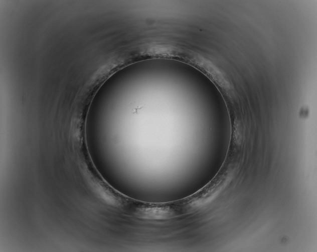 X0000101660449200807101258