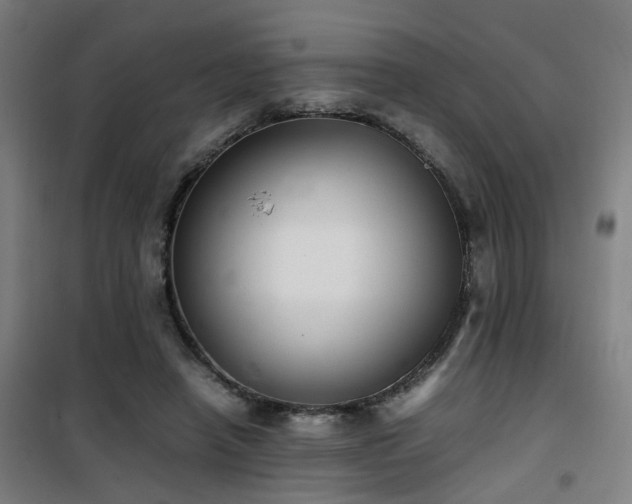 X0000101660450200807101258