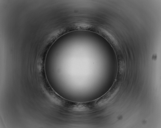 X0000101660451200807101258