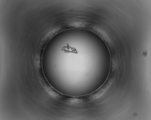 X0000101660453200807101258