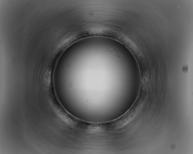 X0000101660454200807101258