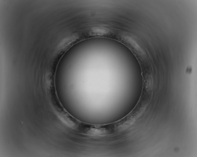 X0000101660455200807101258