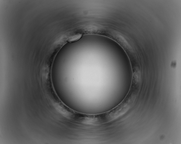 X0000101660458200807101258