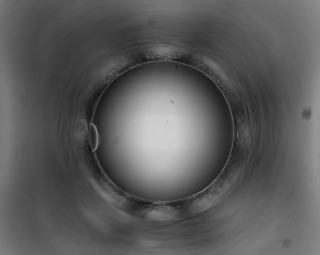 X0000101660459200807101258