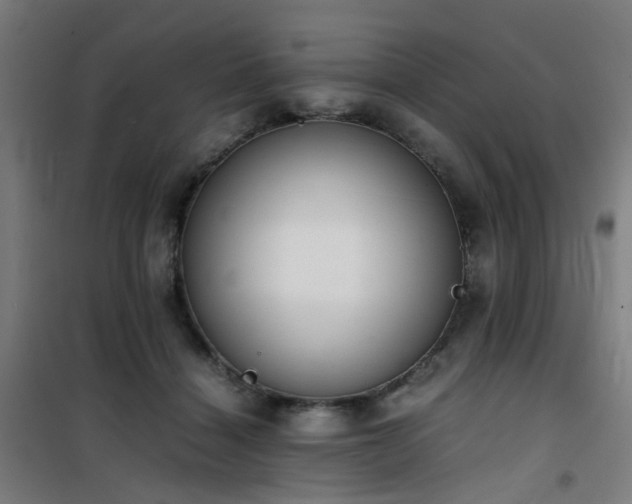 X0000101660460200807101258