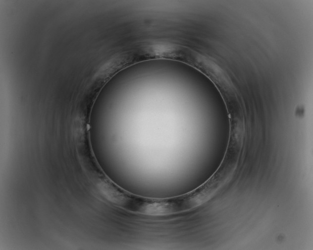 X0000101660461200807101258