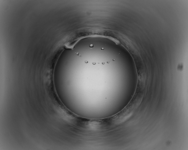 X0000101660462200807101258