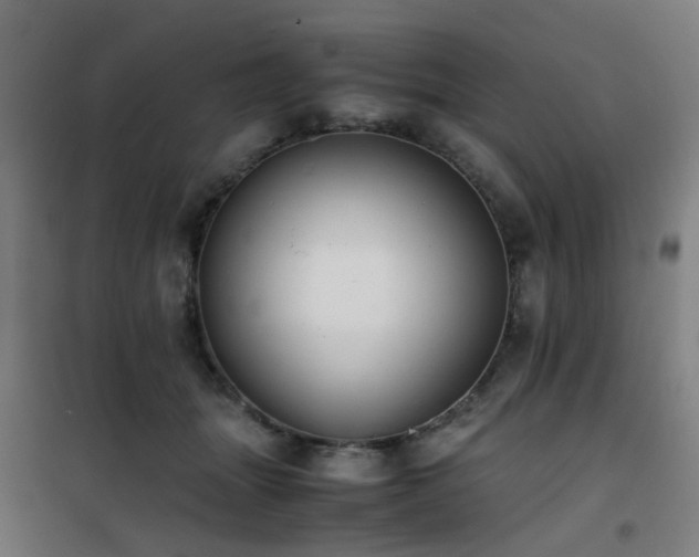 X0000101660463200807101258