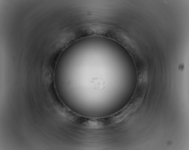 X0000101660464200807101258