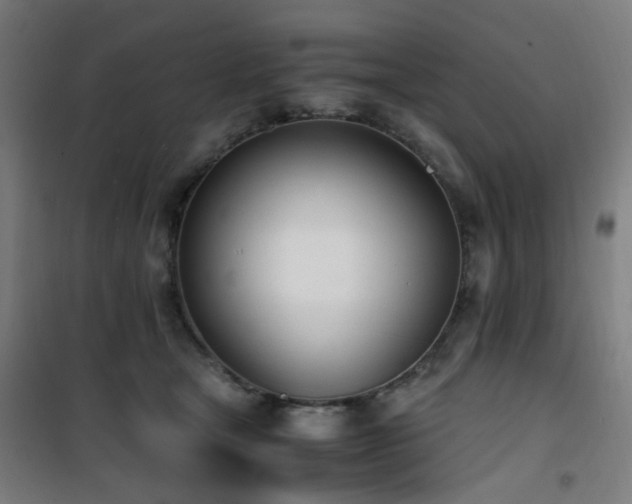 X0000101660465200807101258