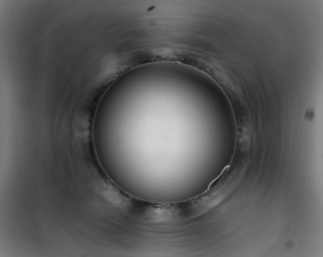 X0000101660466200807101258