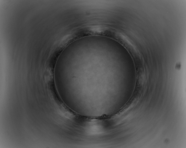 X0000101660467200807101258