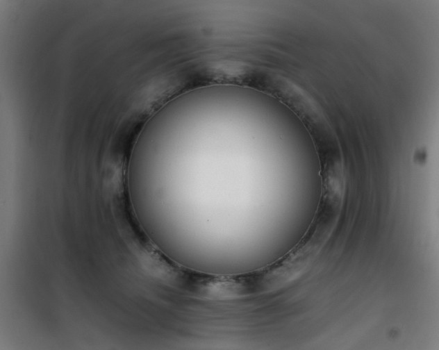 X0000101660468200807101258