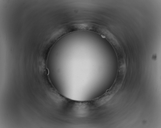 X0000101660469200807101258