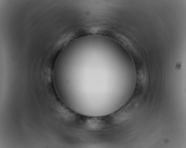 X0000101660470200807101258