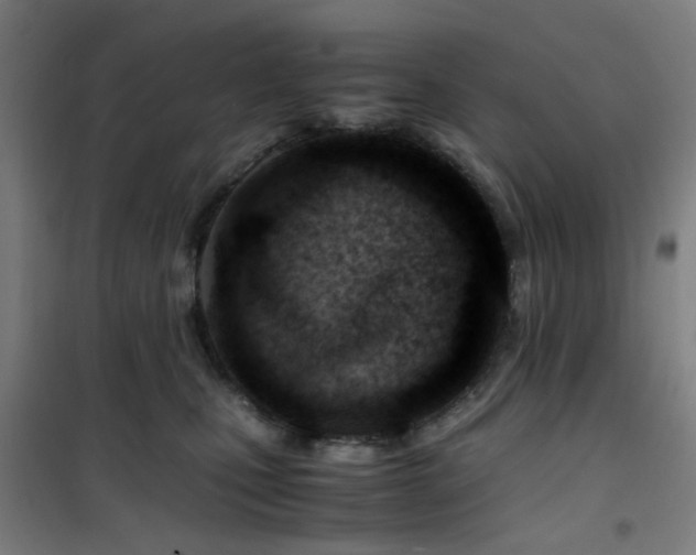 X0000101660471200807101258