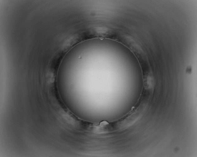 X0000101660472200807101258