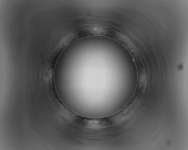 X0000101660473200807101258