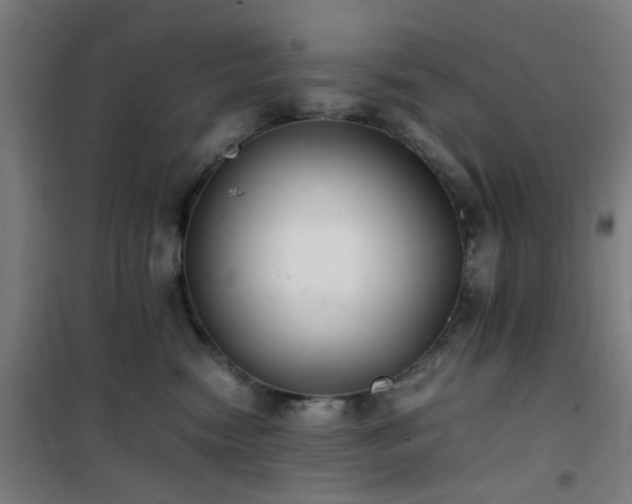 X0000101660474200807101258