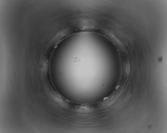 X0000101660475200807101258