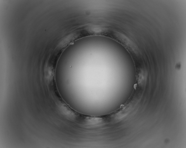 X0000101660476200807101258