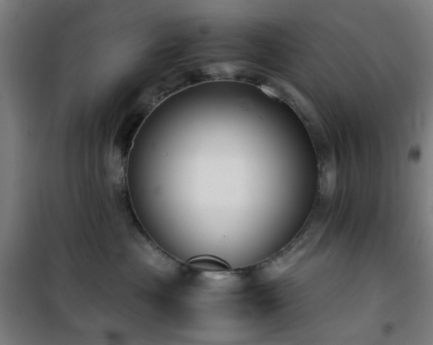 X0000101660477200807101258