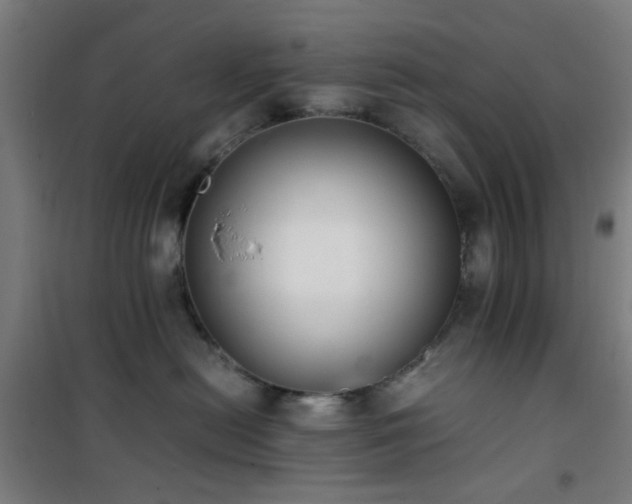 X0000101660478200807101258