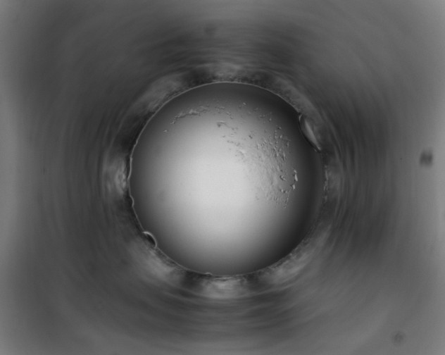 X0000101660479200807101258