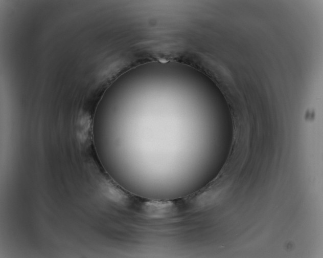 X0000101660480200807101258