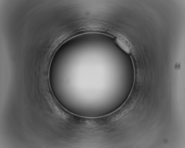 X0000101660481200807101257