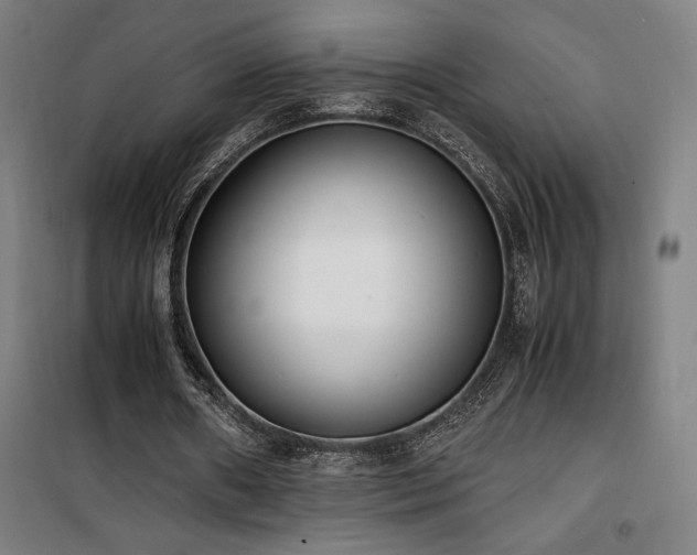 X0000101660482200807101257