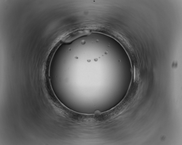 X0000101660483200807101257