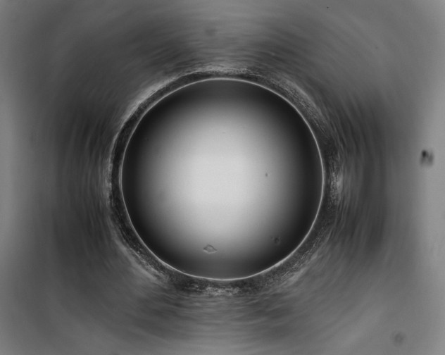 X0000101660484200807101257