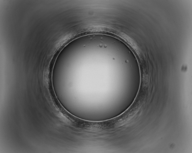 X0000101660485200807101257