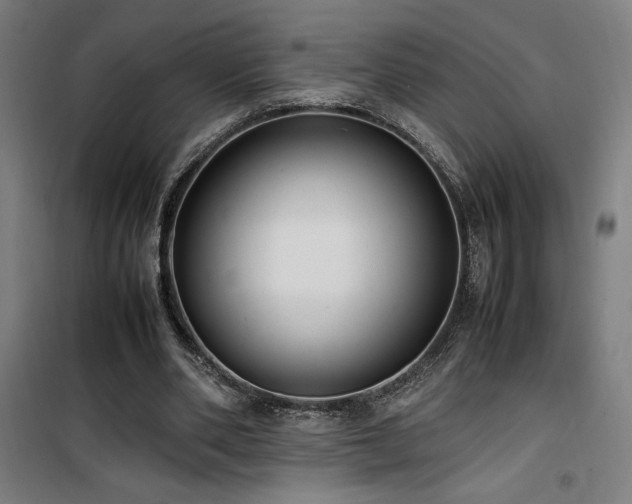 X0000101660486200807101257