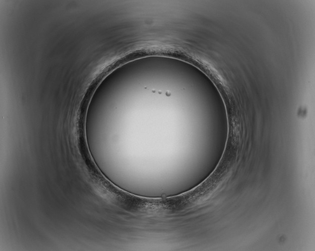 X0000101660487200807101257