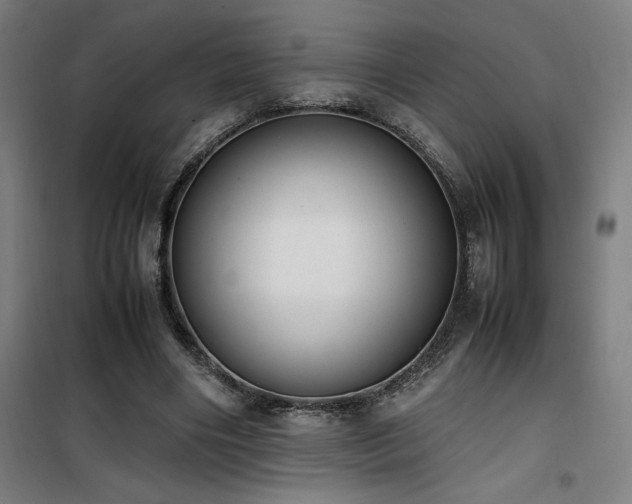 X0000101660490200807101257