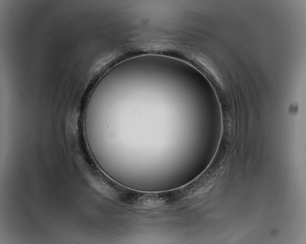 X0000101660491200807101257