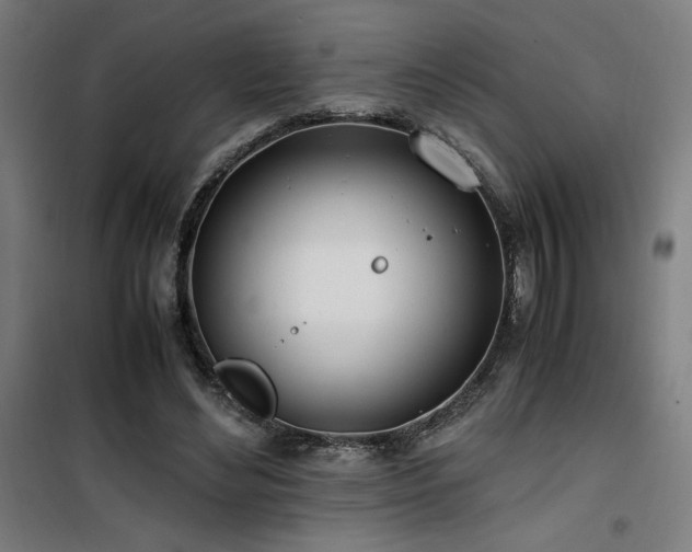 X0000101660492200807101257