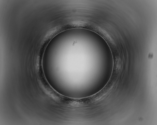 X0000101660494200807101257