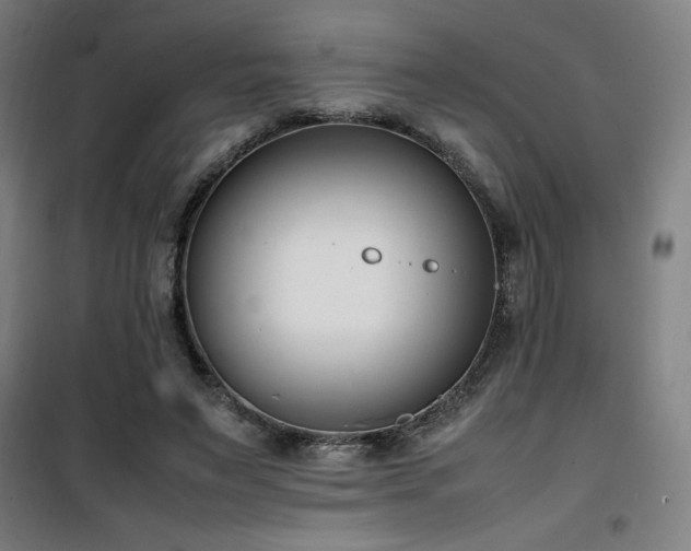 X0000101660495200807101257